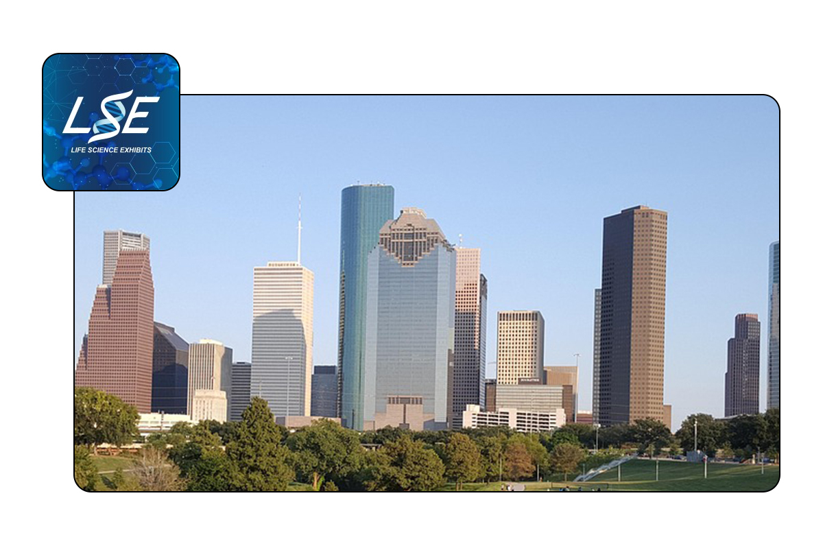 LSE Houston event icon